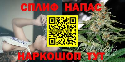 спиды Абинск
