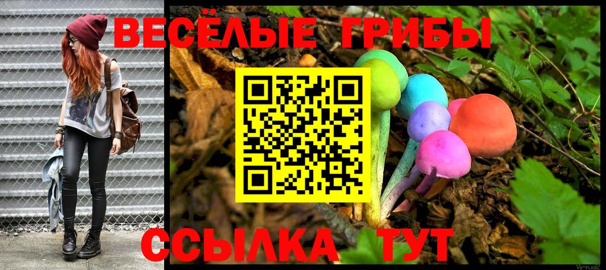Галлюциногенные грибы Magic Shrooms  Псилоцибиновые грибы Psilocybine cubensis  Вход с VPN  Анжеро-Судженск 