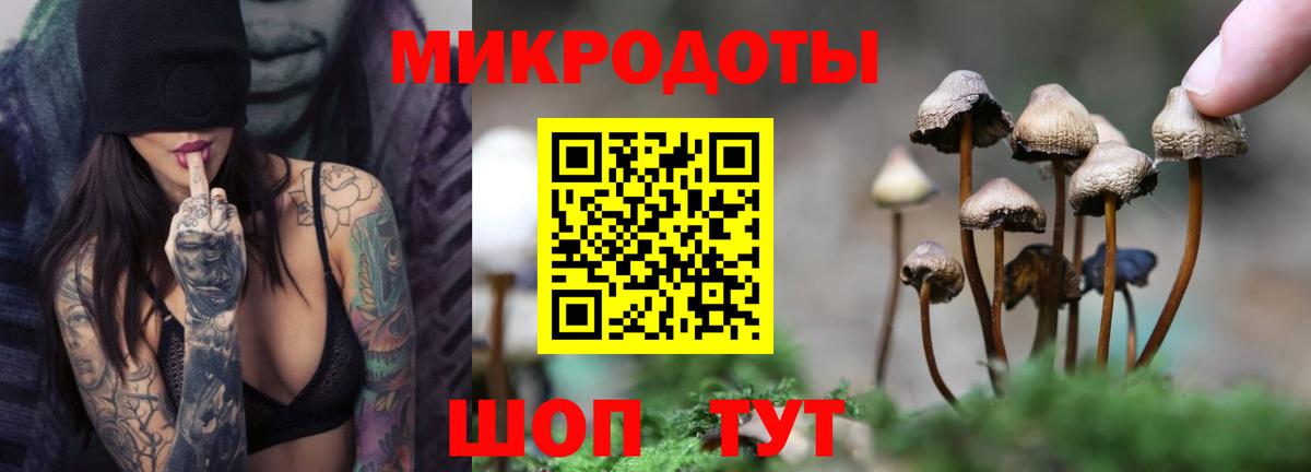 Псилоцибиновые грибы Cubensis Анжеро-Судженск